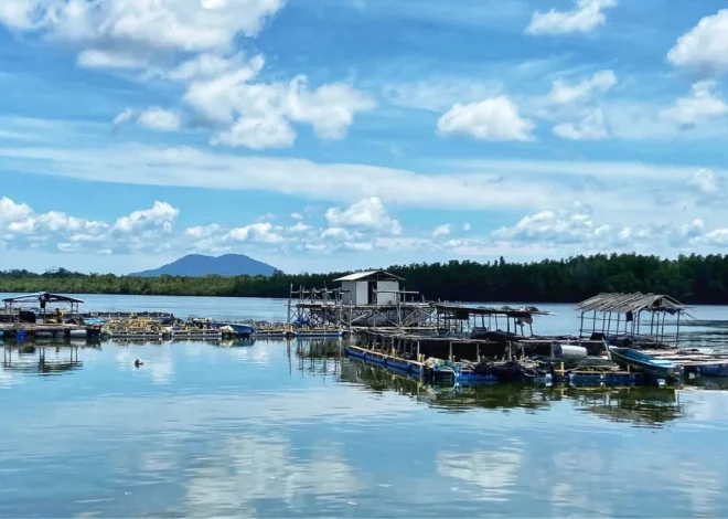 Dari Nelayan ke Produk Olahan, Madong Diproyeksikan Jadi Model Pangan Maritim Kepri – Kutipan