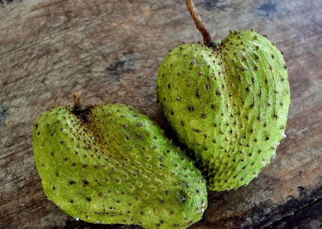 Bisa Tingkatkan Kualitas Tidur, Inilah Manfaat Jus Sirsak untuk Kesehatan Tubuh