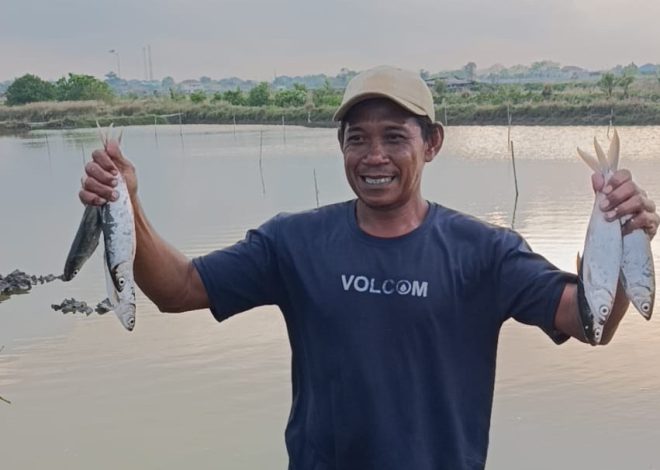 Tingkatkan Kesadaran Nilai Ekologi Lewat Festival Berkat Bandeng