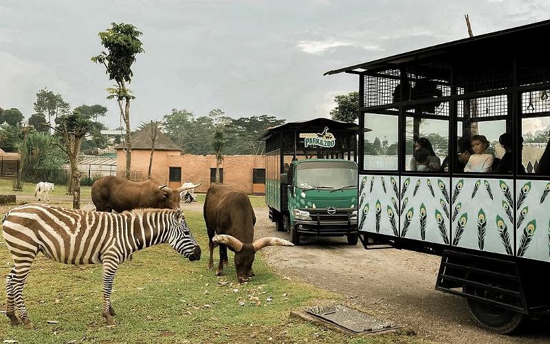 Lembang Park Zoo, Kebun Binatang Modern dan Taman Rekreasi!