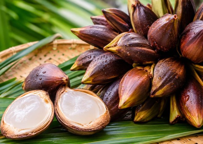 TINTAHIJAU.com – Portal Berita Generasi Milenia