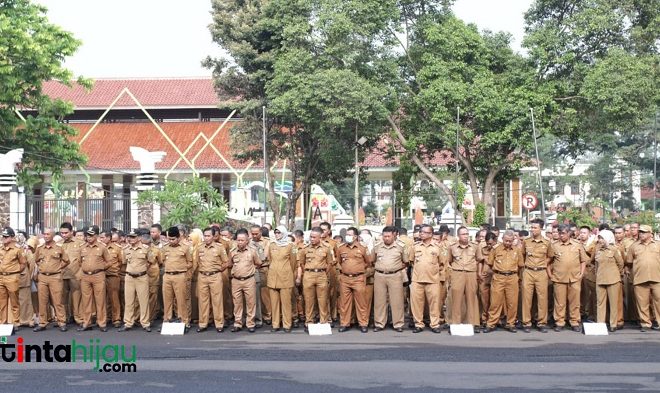 Jumlah ASN Pemerintah Subang 2025 Capai 12.119 Orang, Ini Rinciannya – TINTAHIJAU.com