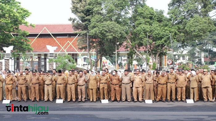 Jumlah ASN Pemerintah Subang 2025 Capai 12.119 Orang, Ini Rinciannya – TINTAHIJAU.com